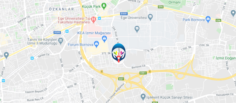 Google Map